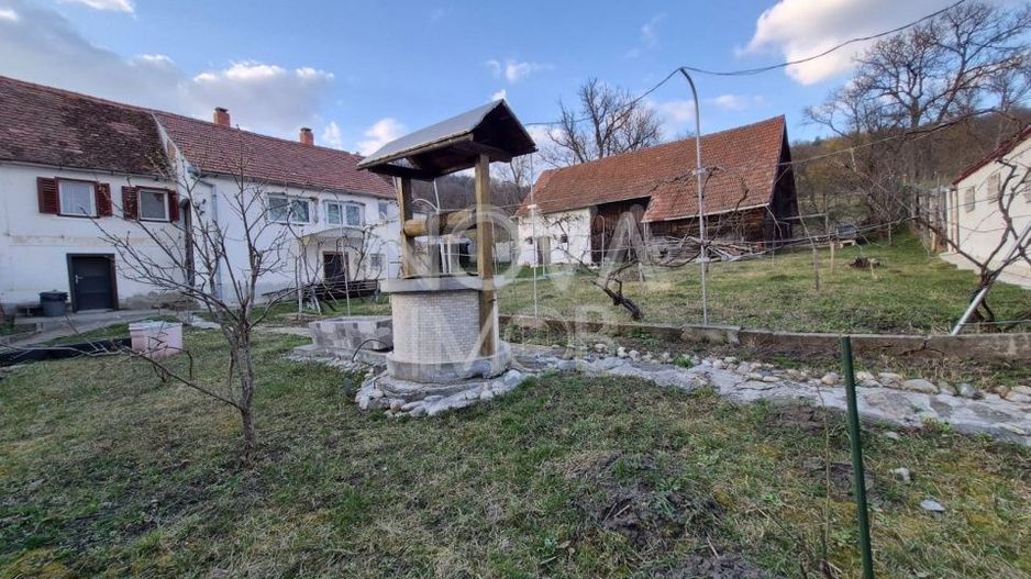 Casa individuala cu teren generos – 8.356 mp – Tichindeal, jud. Sibiu - Poză 16