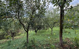 Casa de 3 camere, Medias. - Poză 23