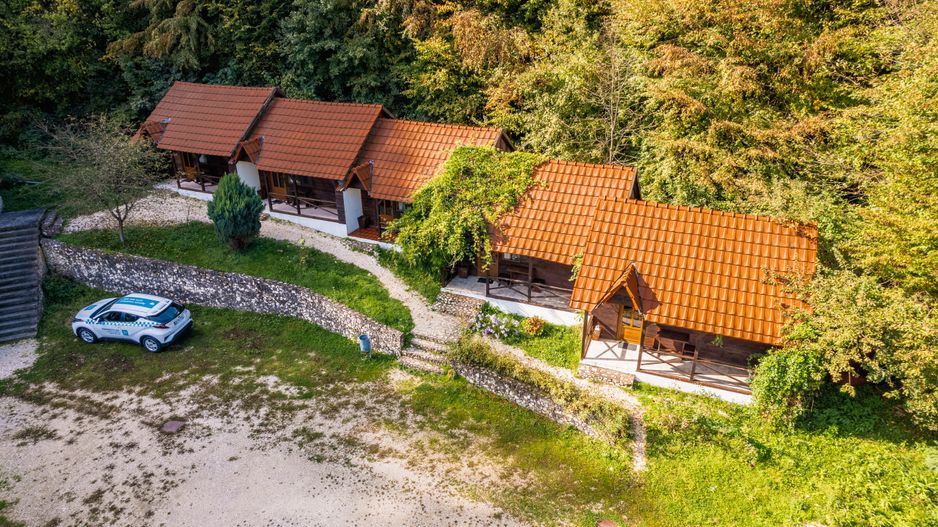 Domeniu în satul Căprioara - Poză 1