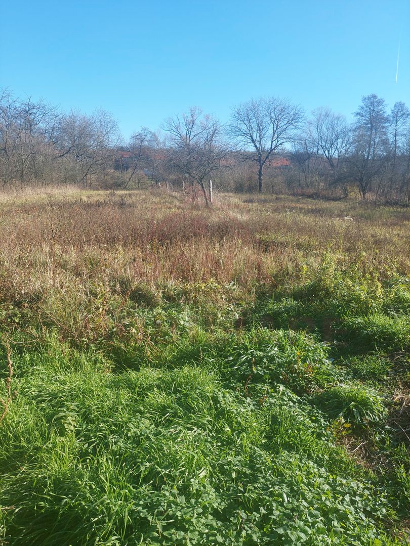 CASĂ PĂLTINIȘ\JUD. CARAȘ-SEVERIN\ COMISION 0% - Poză 24