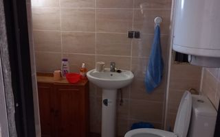 Două case de vânzare – Cerisor – teren generos 6996 mp - Poză 5
