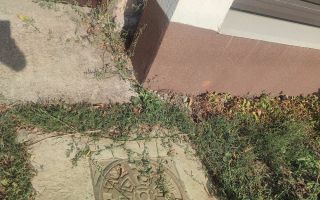 Teren intravilan 905 mp cu cabană de vară inclusă, Popricani, la 15 minute de Iași - Poză 4