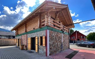 Apartament 1 camera in regim hotelier, Casa TIMIS - Poză 14