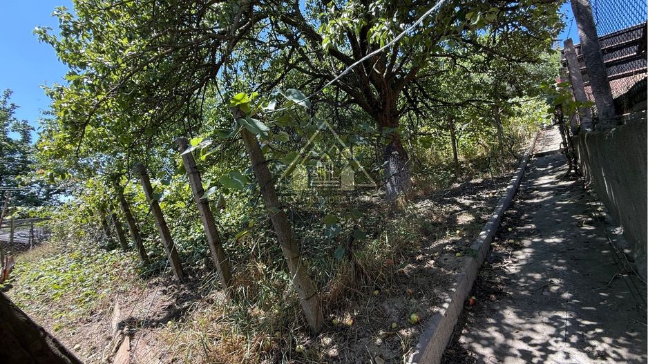 Casă Medias Vitrometan - Poză 24