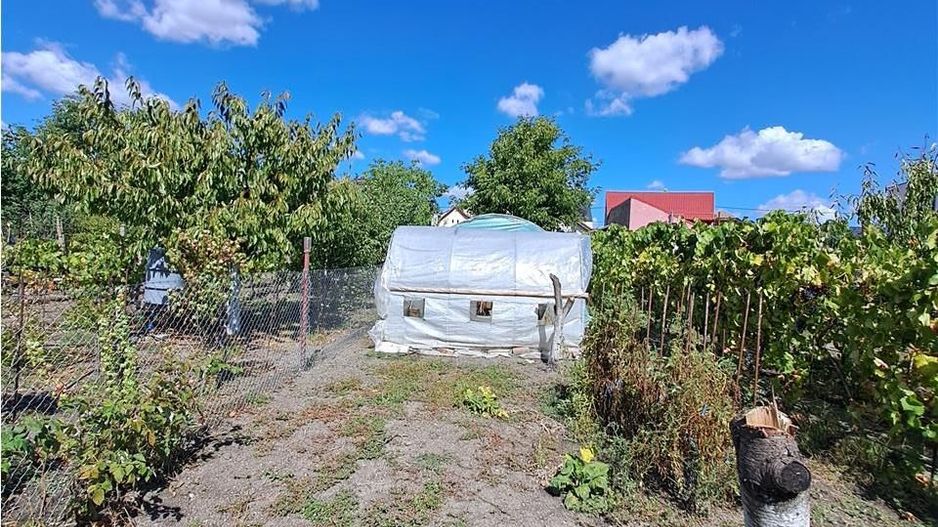 Casa individuala  Mehala aproape de Piata -Profi - Poză 2