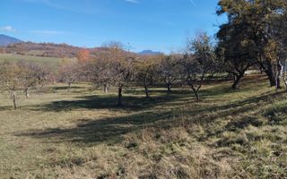 Teren intravilan 5324 mp la drum asfaltat-Parcelabil-Josenii Bargaului - Poză 4