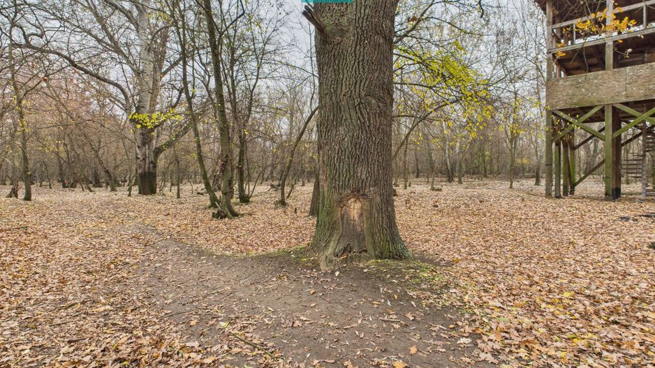 Teren spectaculos la  Periam Port - Poză 10