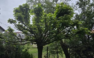 Vila 5 camere LUX Voluntari - Cartier Henri Coanda - Poză 1