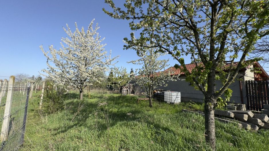 Teren Intravilan 980 mp Carei -GrădinaViilor Zona Str. Livezilor - Comision 0% - Poză 11