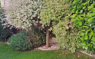 Casa deosebita, Gheorgheni-zona Iulius Mall - Poză 25