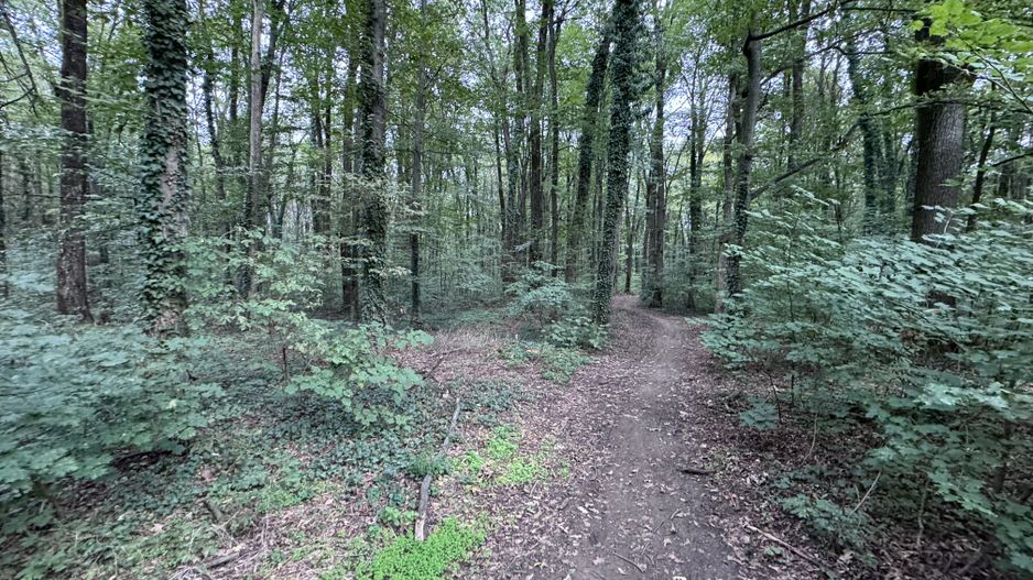 46644 mp teren in Padurea Baneasa proiect exclusivist - Poză 7