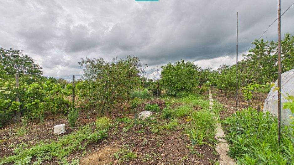 Casa cu teren 1050mp, Aradul Nou - Poză 7