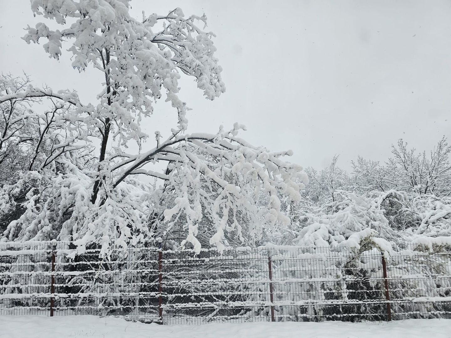 AZURA Imobiliare - Casa la cheie Mosoaia - pret de apartament! - Poză 18
