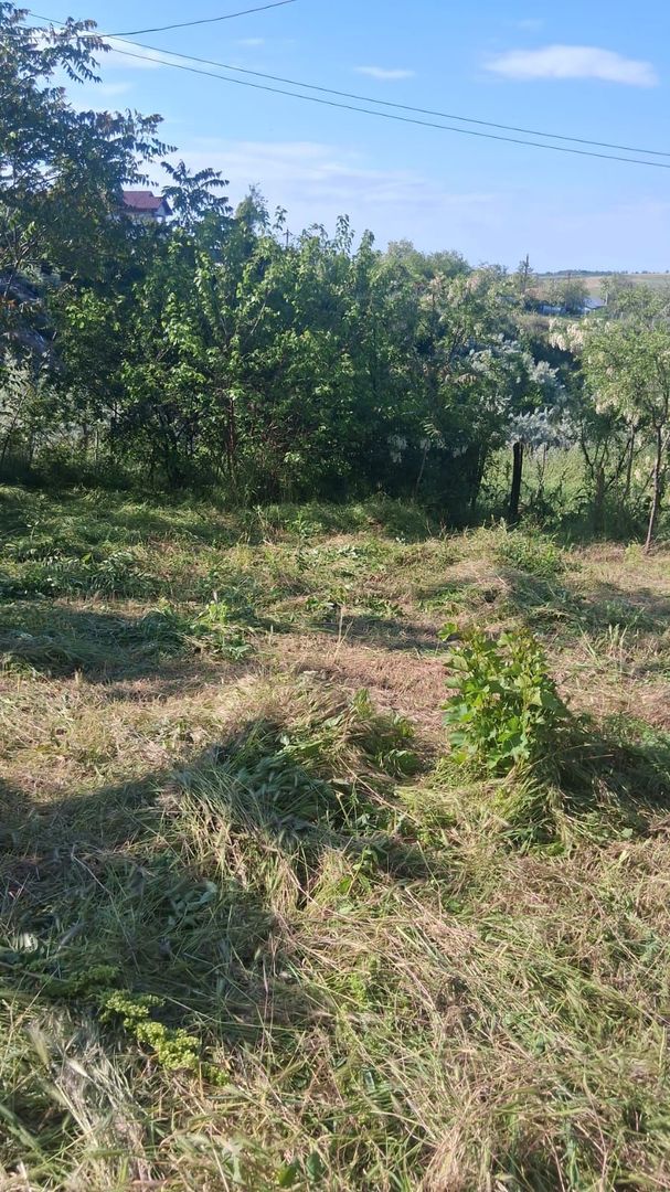 Casă cu teren de 1.470 mp de vânzare – Fântânele, Scânteiești - Poză 7