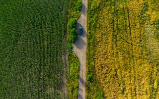 Teren pentru investiție DN7 - Poză 4