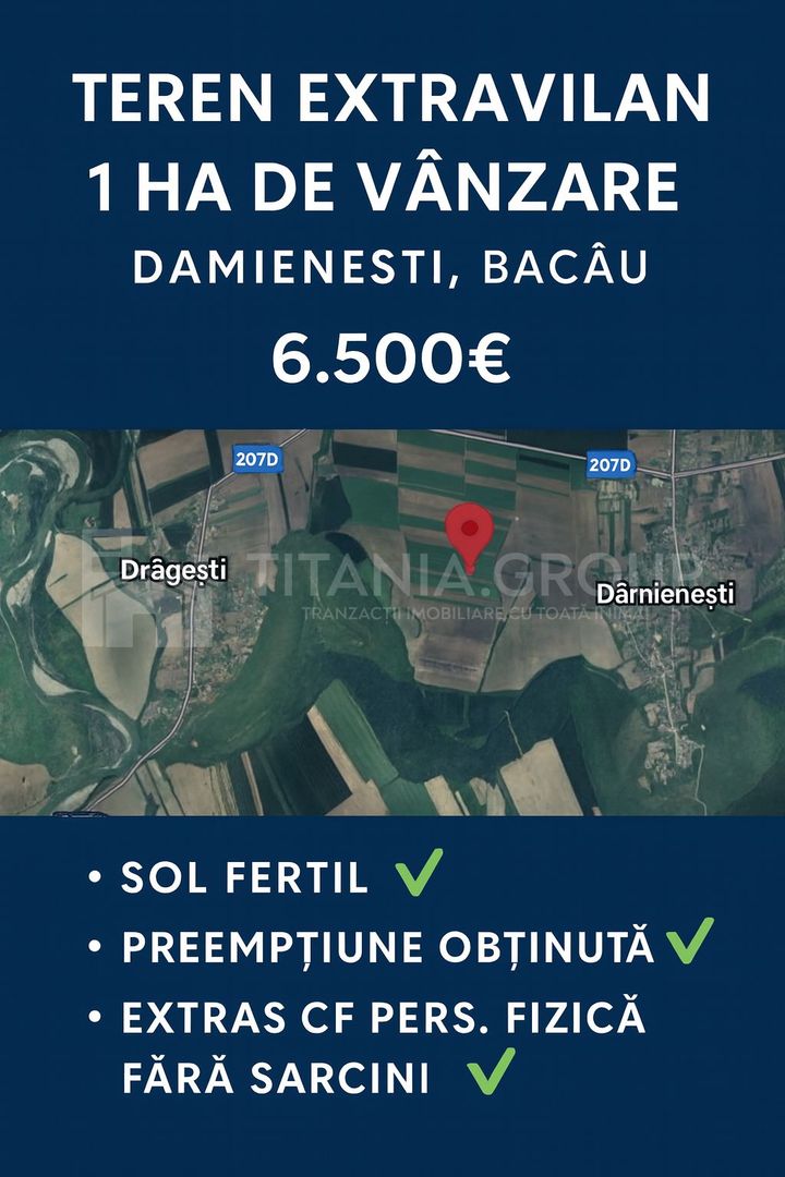 Teren extravilan agricol 1 ha de vânzare- Damienești, Bacău - Poză 3
