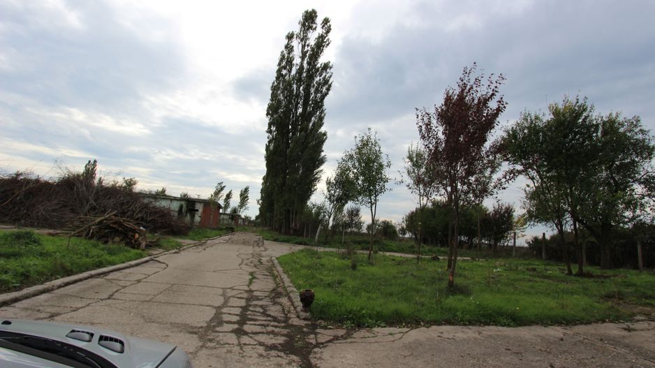 Vanzare hale Mosnita Noua-fosta Ferma 7 - Poză 17