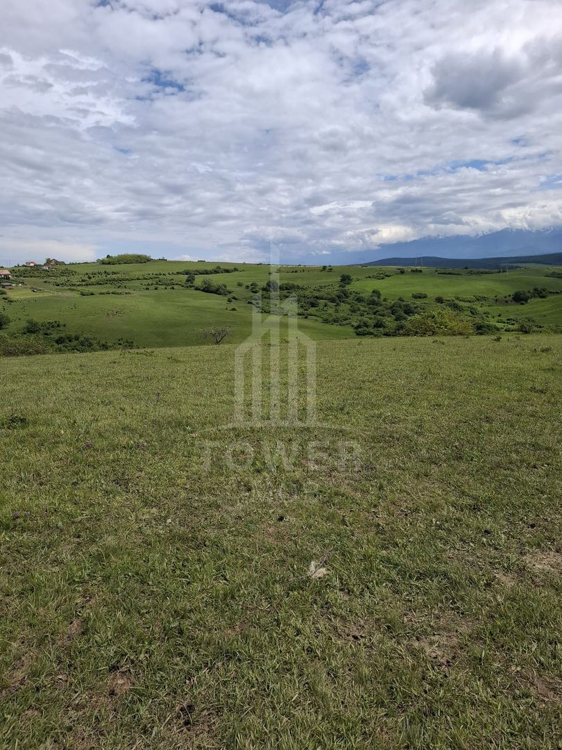 De vanzare, teren 11.500 mp – Dealul Dăii,  Vedere panoramică spre munți și lac - Poză 12