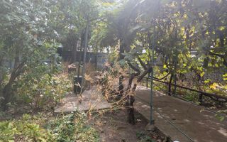 Teren cu construcții și potențial de dezvoltare | Ciupercă – Domenii - Poză 2