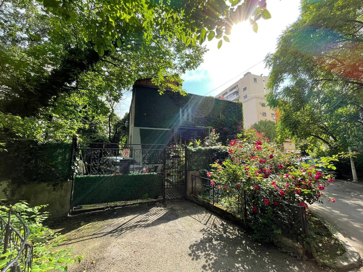 Birou parter vila Titulescu - Poză 10