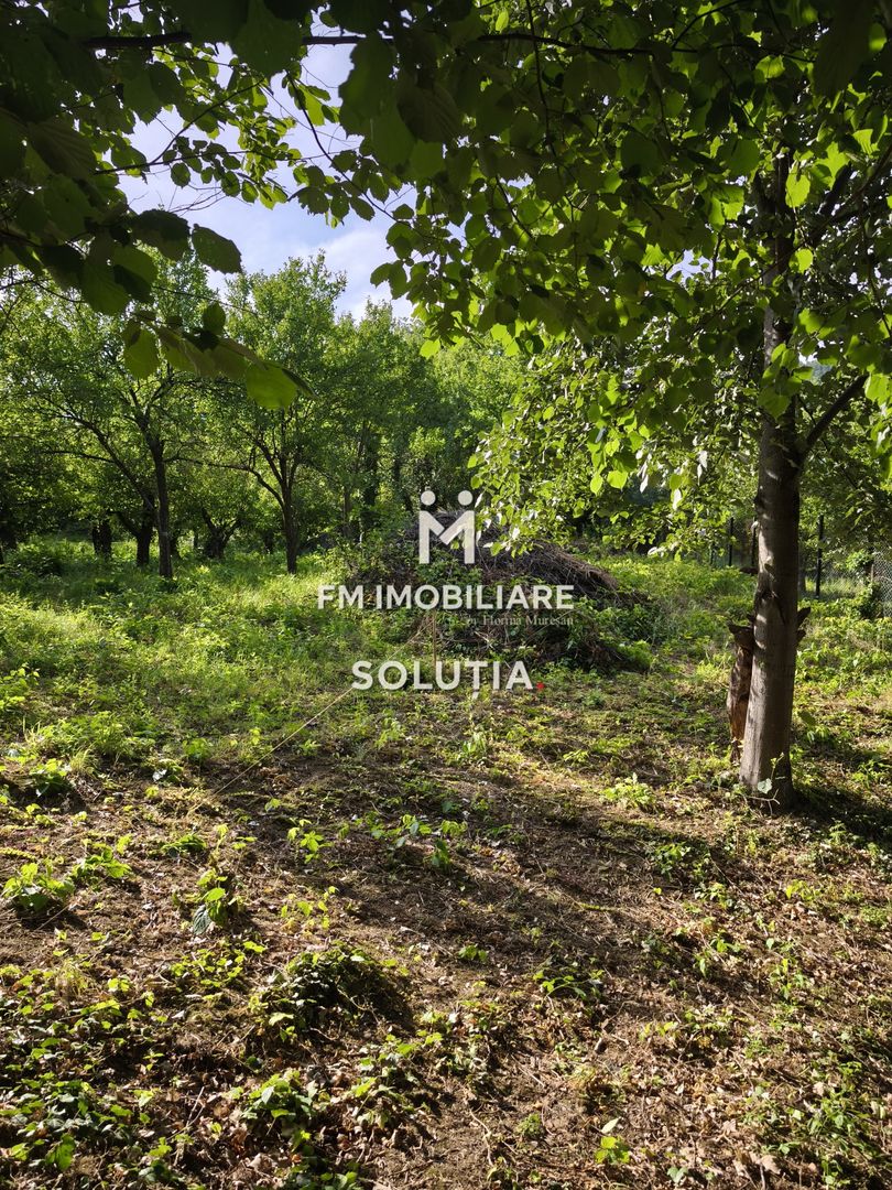 Teren intravilan 10 ari, zona Grigore Ureche, PUZ! - Poză 4