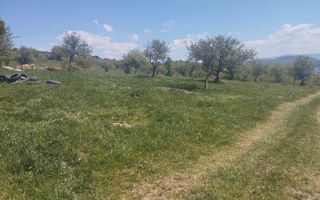 Teren 4400 mp -Parcelabil - panoramic - Sarata - Poză 3