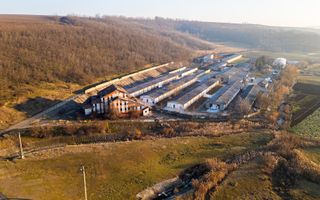 Fosta Ferma a Partidului de la Horgesti - de vanzare - Poză 18