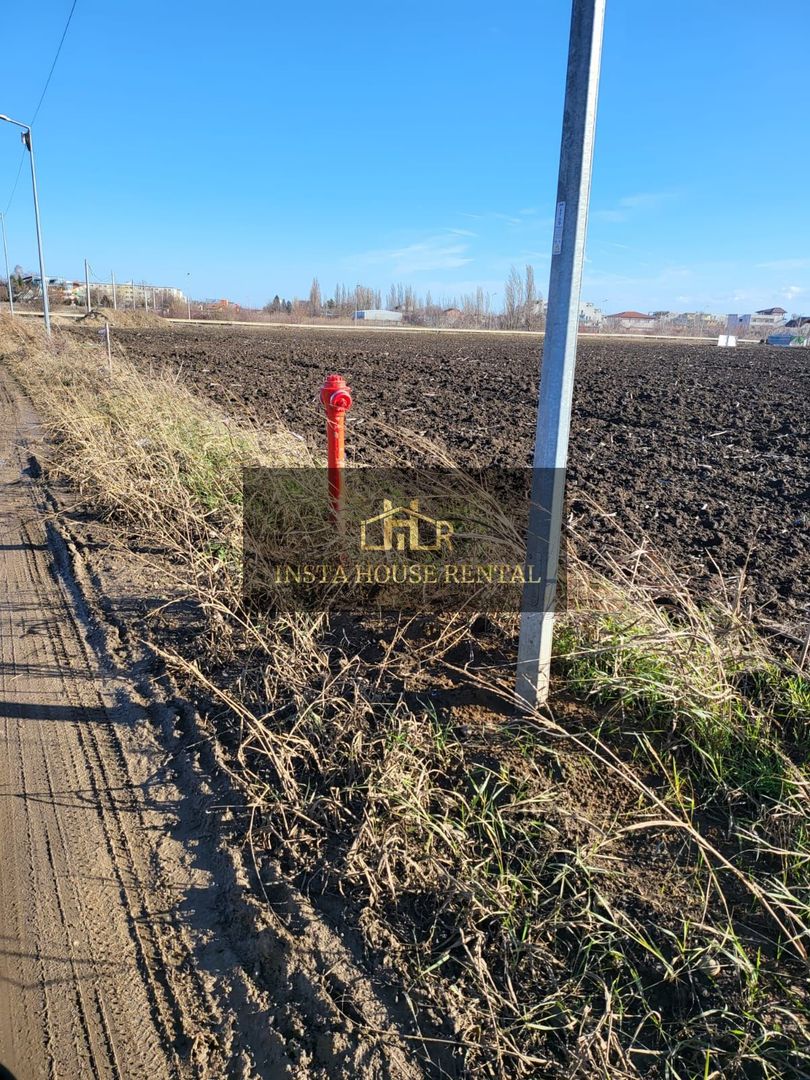 Teren 14377 mp Odai / Otopeni / 5000 mp intravilan - Poză 2