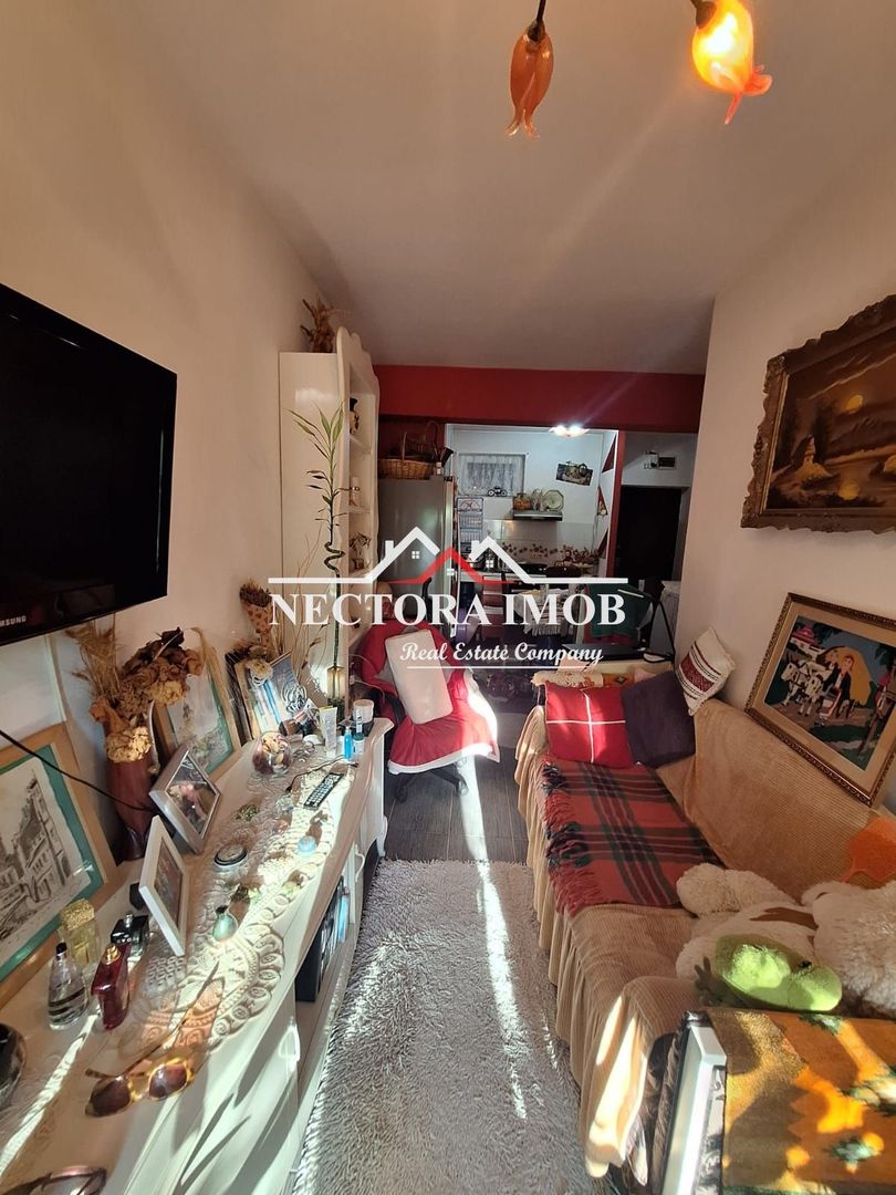 NECTORA IMOB-Apartament 2 camere Sanmartin, 40mp+20mp terasa, utilat - Poză 5