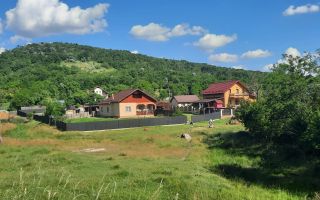 Casă / Vilă cu 2 camere de vânzare în Totoesti - Poză 3