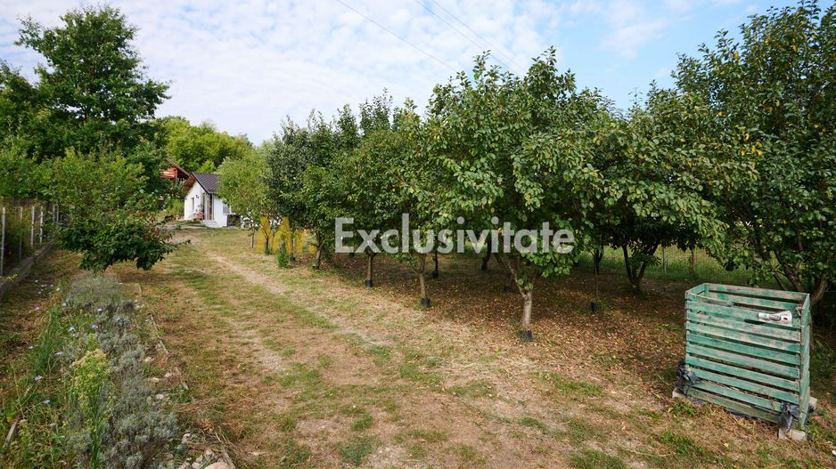 Doua CASE in aceeasi curte–BABANA, ARGEȘ | 1.485 MP TEREN - Poză 20