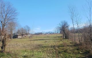 Teren intravilan 6500 mp- Gliganu de Sus - Rociu - Poză 1