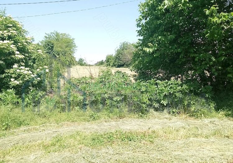 Teren intravilan 11.000 mp și casă 200 mp – Târgu Frumos - Poză 3