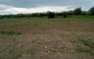 Teren Șelimbăr | 4517Mp | Intravilan - Poză 2