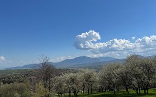 Terenuri Bran - Predelut  Priveliște către Bucegi și Postăvaru - Poză 11