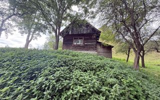 Teren de investiție în Moieciu, lângă Castelul Bran – 11.381 mp, vedere Bucegi - Poză 4