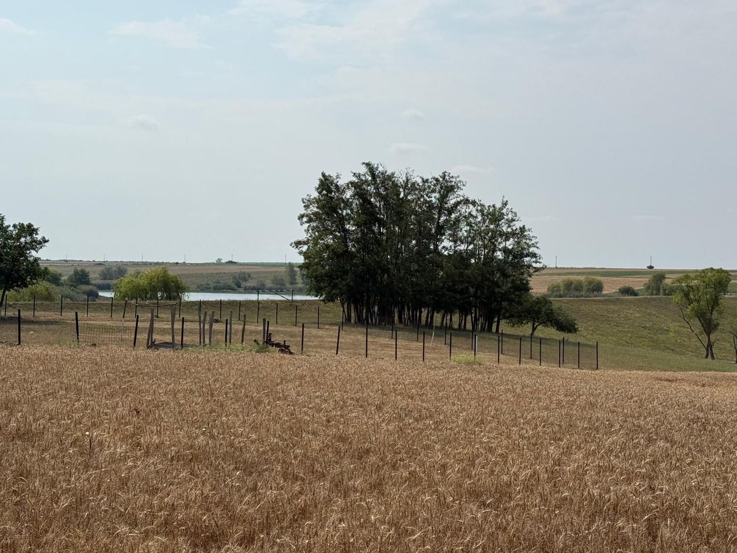 Teren intravilan Miersig, vedere la lac. 12,5 E/mp neg. Comision 0 - Poză 6