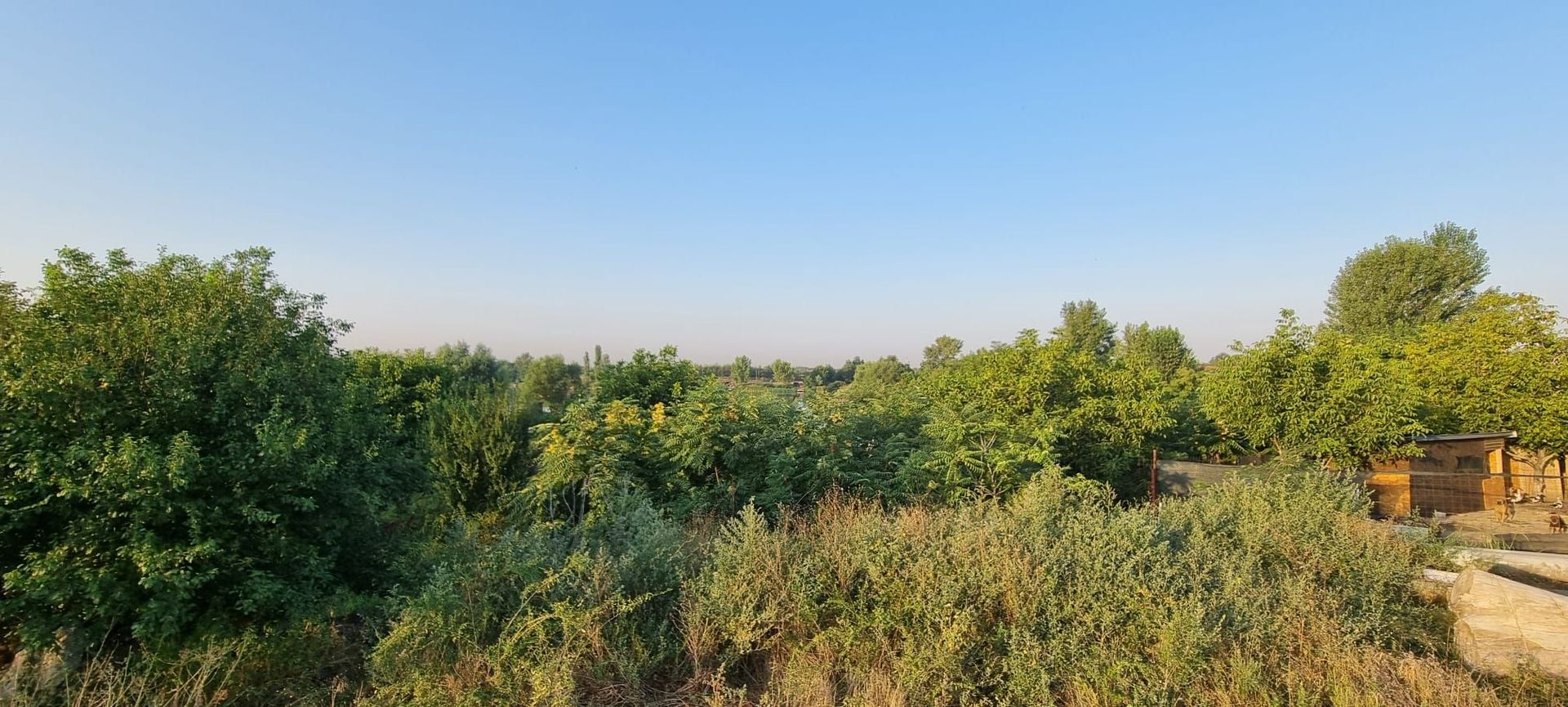 Teren cu Vedre Lac - Poză 5