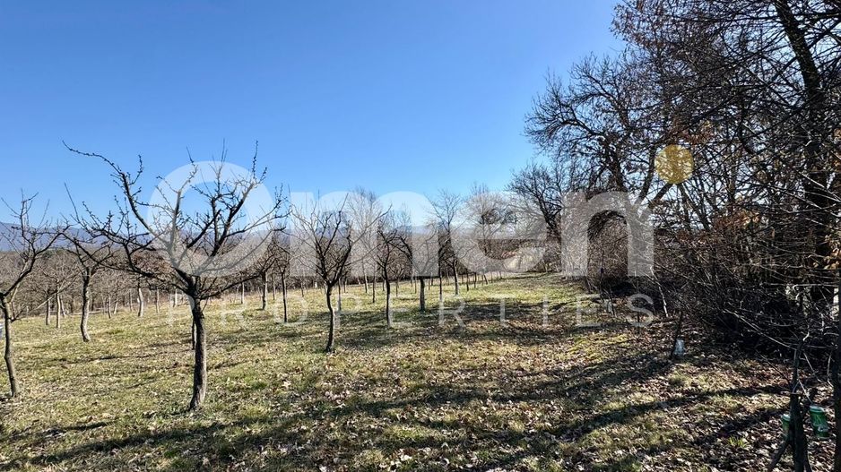 Teren intravilan | Berința | 5800 mp - Poză 6