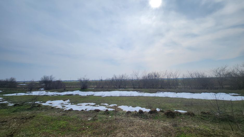 Teren intravilan 3,4 Ha Ciorogarla str.  Nicolae Iorga - Poză 5