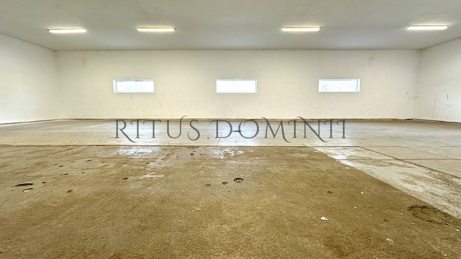 Hala industriala de Inchiriat, Oradea-Est, 245m2 - Poză 2