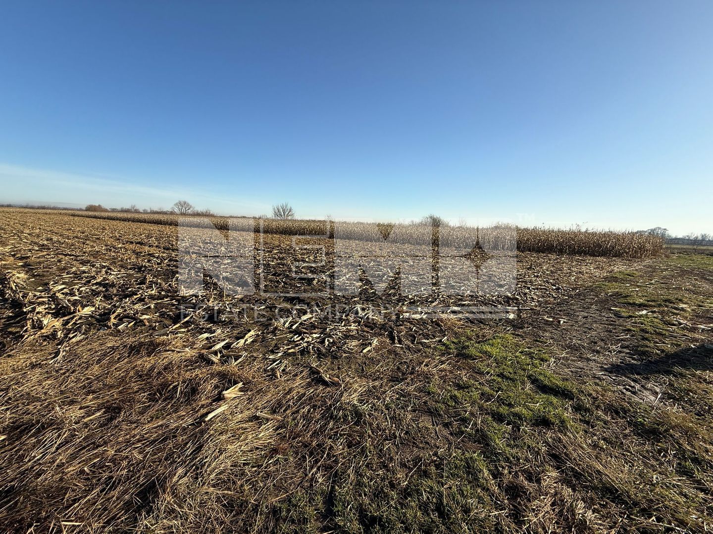 TEREN EXTRAVILAN  51 ARI |  HORODNIC DE JOS  | - Poză 3