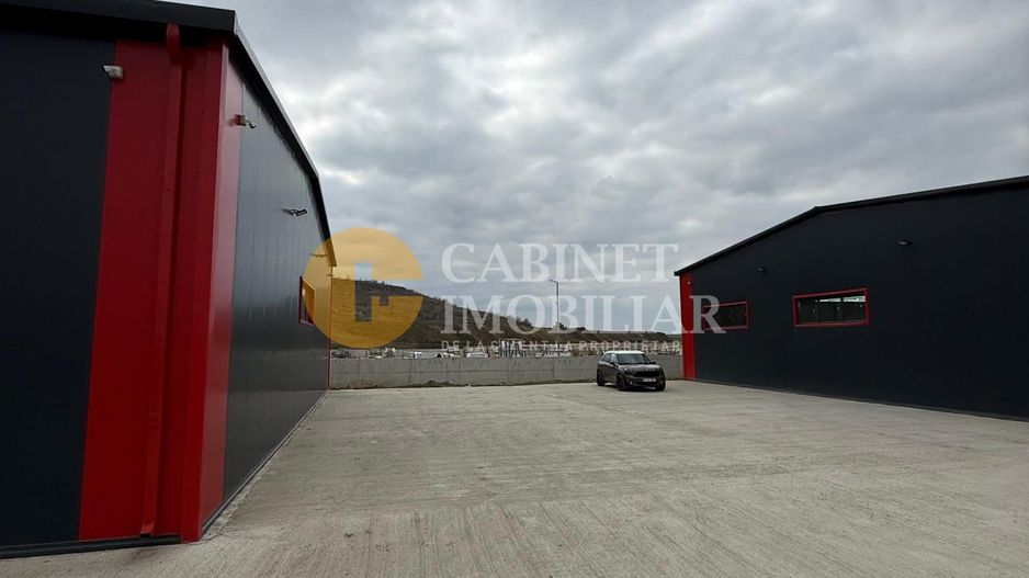 Hala industriala, 580 mp, Parc Industrial Valea Lupului - Poză 2