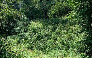 Teren in zona turistica Porumbacu de Sus - Poză 6