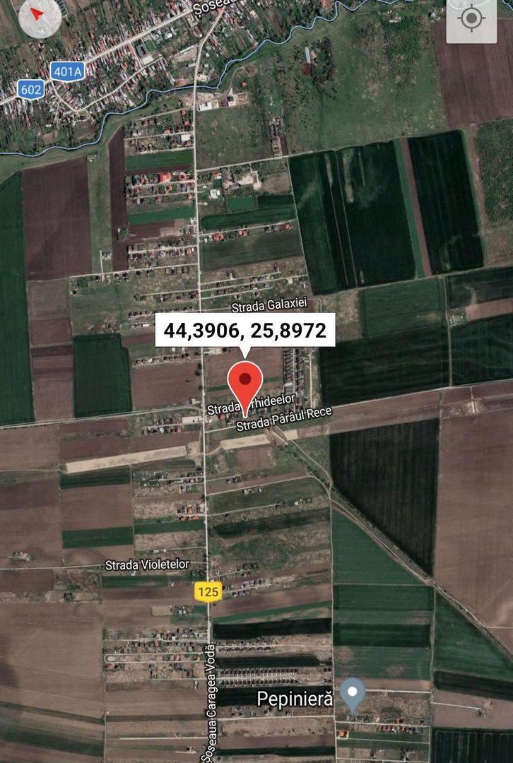 Teren intravilan in comuna Domnesti - sat Teghes - Poză 2