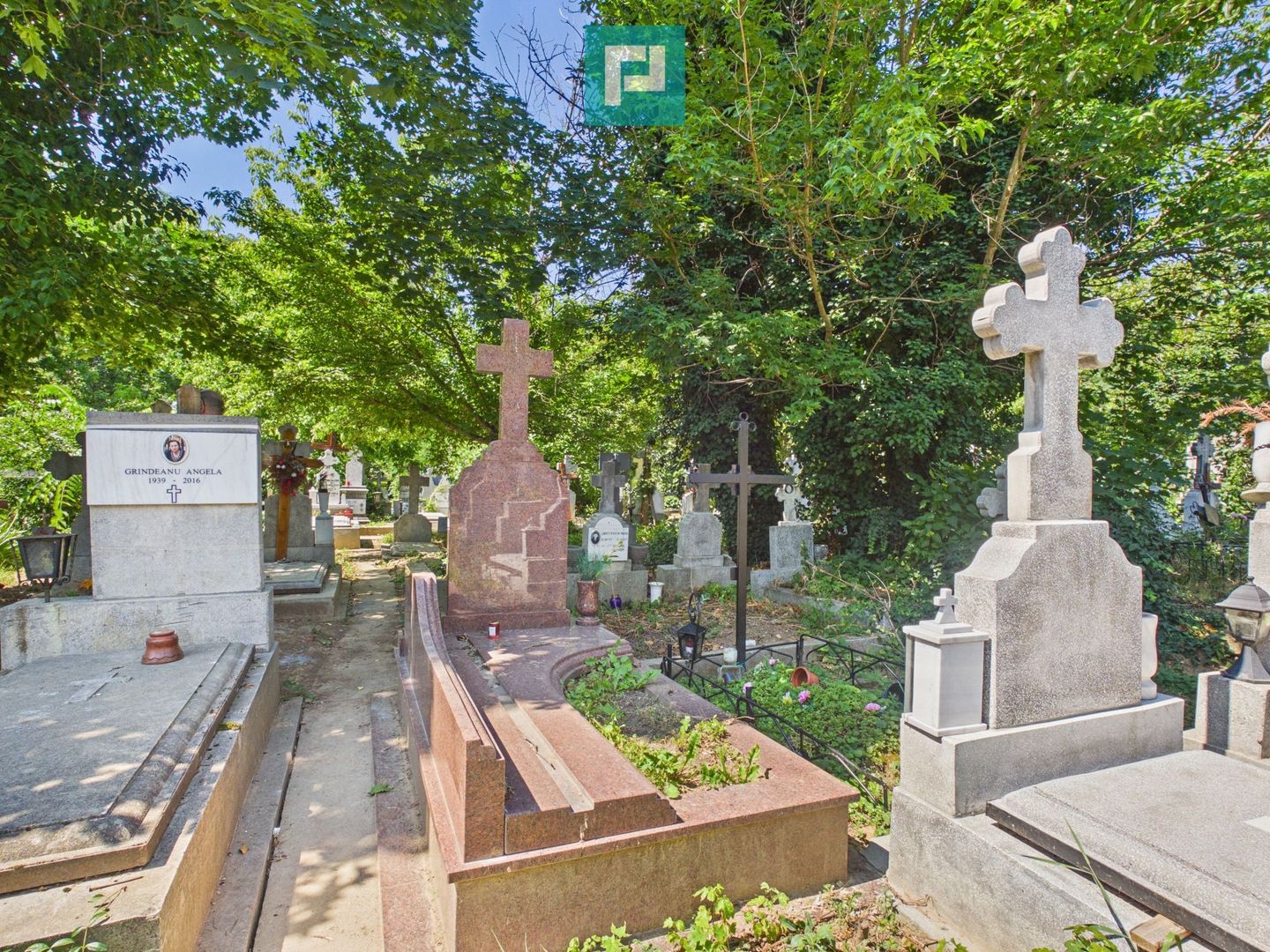 Loc de veci / 3 spatii / Reinvierea Colentina - Poză 4
