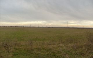 Teren Ciocanesti - Poză 4