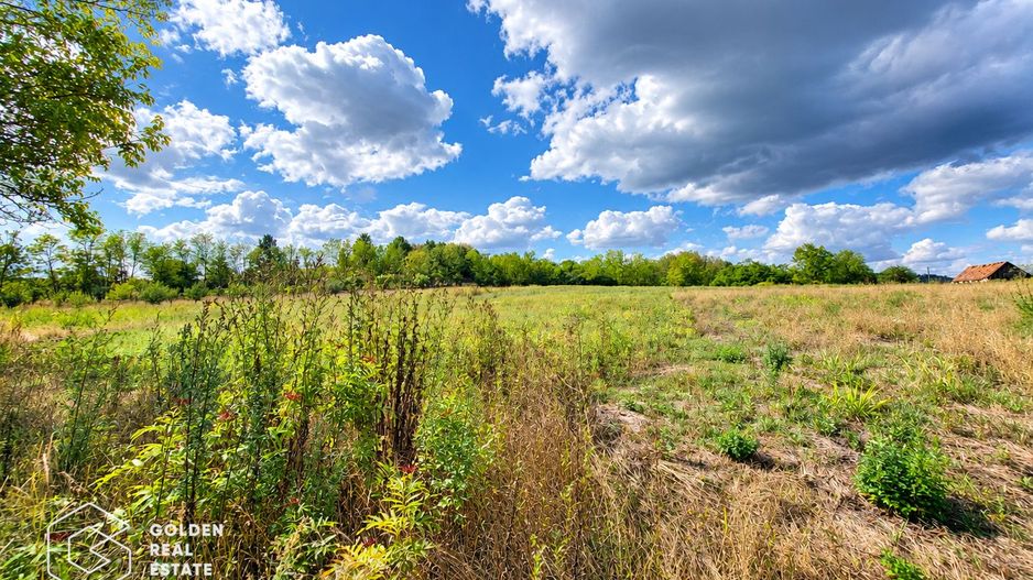 Teren intravilan, 1260 mp, localitate Ususau - Poză 1