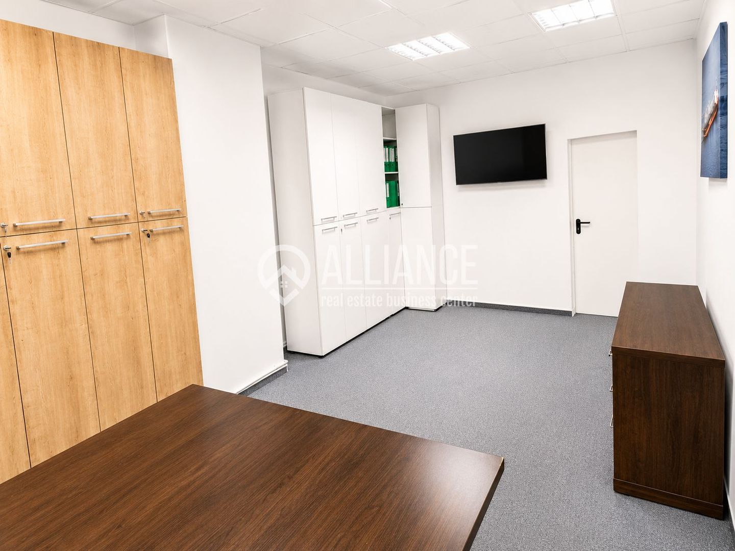 Spatiu comercial 165mp -  (COD10) PENINSULA - Poză 3