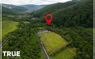 Teren intravilan 2.800 m² în Câmpu Cetății – liniște și natură - Poză 14